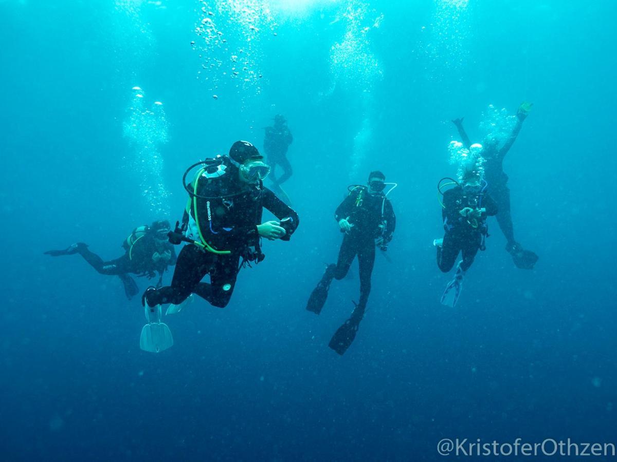 Liquid Dive Adventures Panzió Praia do Praia do Tofo Kültér fotó